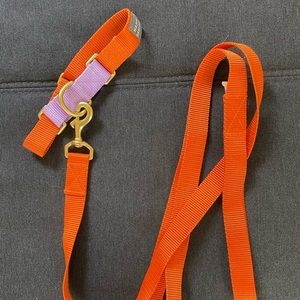 Major Darling Leash and Martingale Collar Set